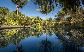 Toca da Coruja - Eco Luxury Retreat